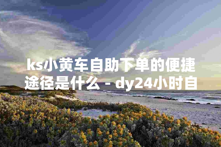 ks小黄车自助下单的便捷途径是什么 - dy24小时自助下单平台网站优惠