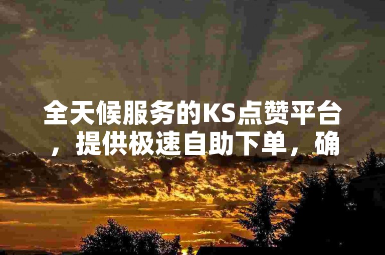 全天候服务的KS点赞平台，提供极速自助下单，确保您的快手赞数瞬间增加。