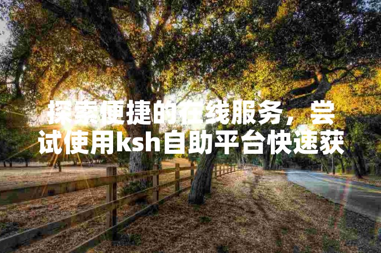 探索便捷的在线服务，尝试使用ksh自助平台快速获得QQ名片赞，享受ks的专属推荐。
