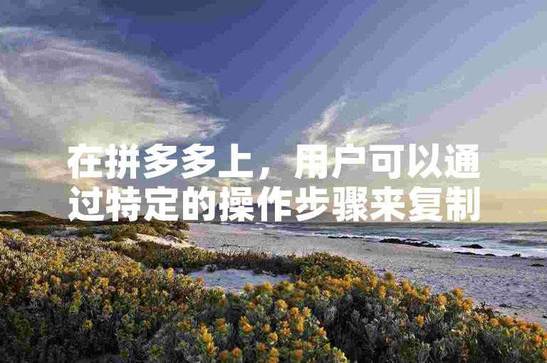 在拼多多上，用户可以通过特定的操作步骤来复制和粘贴助力链接，以便在多多帮助力平台上获得所需的支持。