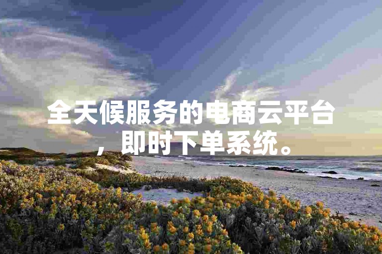 全天候服务的电商云平台，即时下单系统。