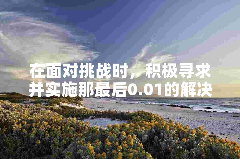 在面对挑战时，积极寻求并实施那最后0.01的解决方案是关键所在。