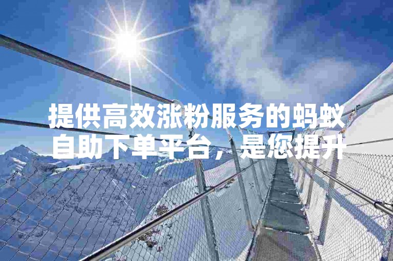 提供高效涨粉服务的蚂蚁自助下单平台，是您提升ks业务影响力的理想选择。