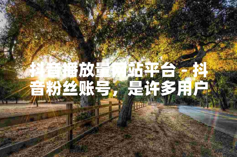 抖音播放量网站平台 - 抖音粉丝账号，是许多用户追求高曝光度和增加粉丝数量的重要工具。