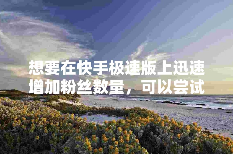 想要在快手极速版上迅速增加粉丝数量，可以尝试利用dy免费小时自助下单平台网站提供的服务。