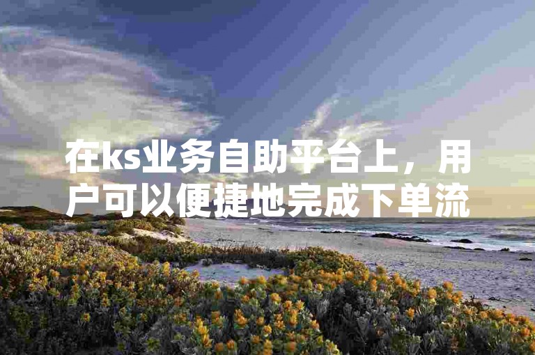 在ks业务自助平台上，用户可以便捷地完成下单流程，同时享受dy自助下单业务的优惠价格。