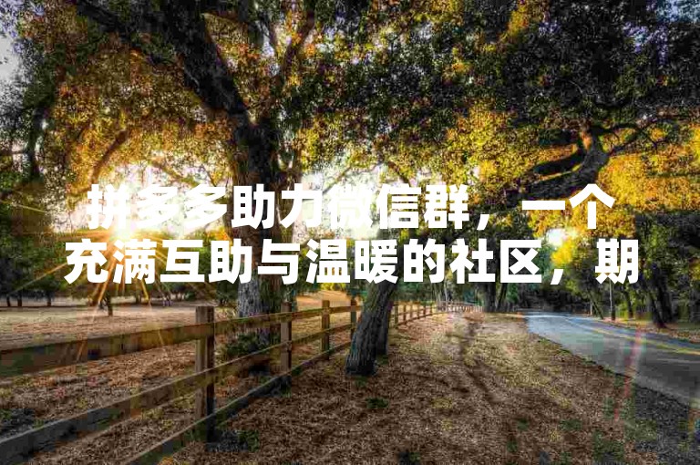 拼多多助力微信群，一个充满互助与温暖的社区，期待您的到来！