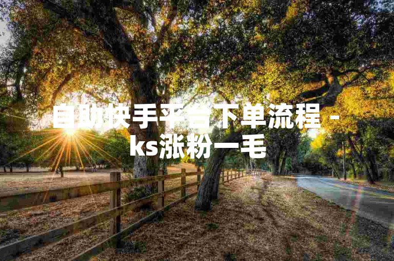 自助快手平台下单流程 - ks涨粉一毛