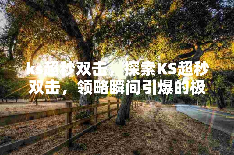 ks超秒双击，探索KS超秒双击，领略瞬间引爆的极致体验！