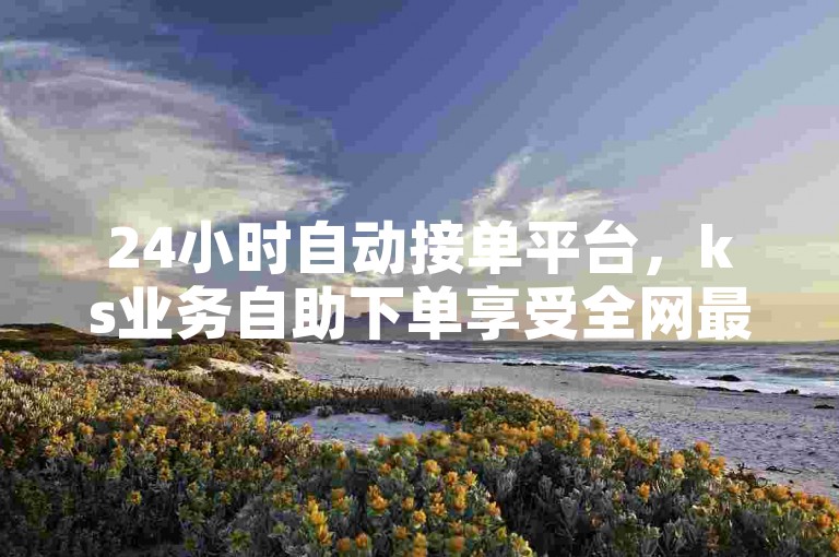 24小时自动接单平台，ks业务自助下单享受全网最优惠价格。