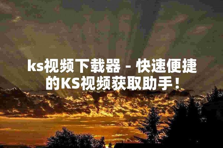 ks视频下载器 - 快速便捷的KS视频获取助手！