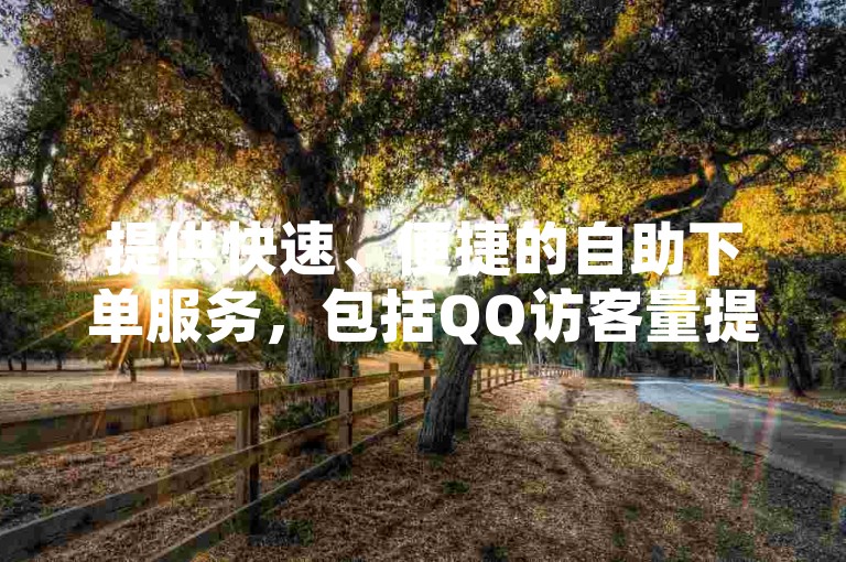 提供快速、便捷的自助下单服务，包括QQ访客量提升和短视频点赞，全天候在线支持。
