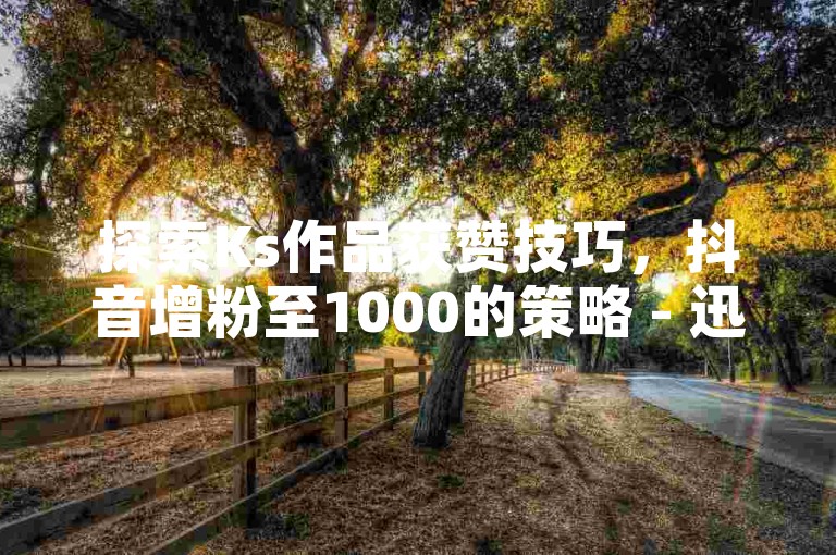 探索Ks作品获赞技巧，抖音增粉至1000的策略 - 迅速积累粉丝达万人之术 - 寻找性价比高的抖音推广服务。