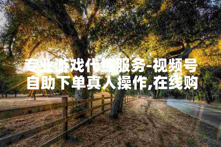 专业游戏代练服务-视频号自助下单真人操作,在线购物平台一键下单网站