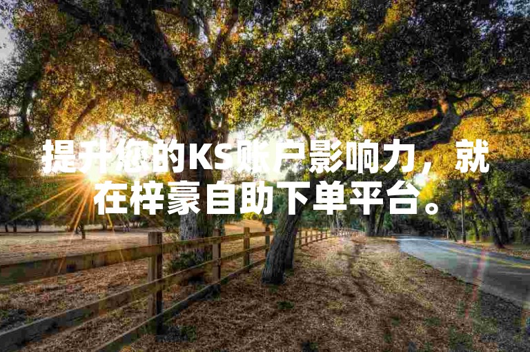 提升您的KS账户影响力，就在梓豪自助下单平台。