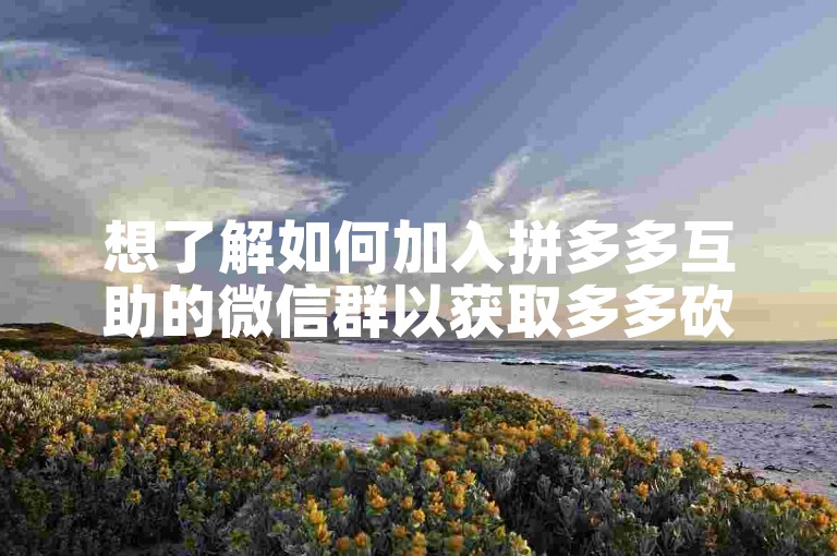 想了解如何加入拼多多互助的微信群以获取多多砍价的帮助吗？