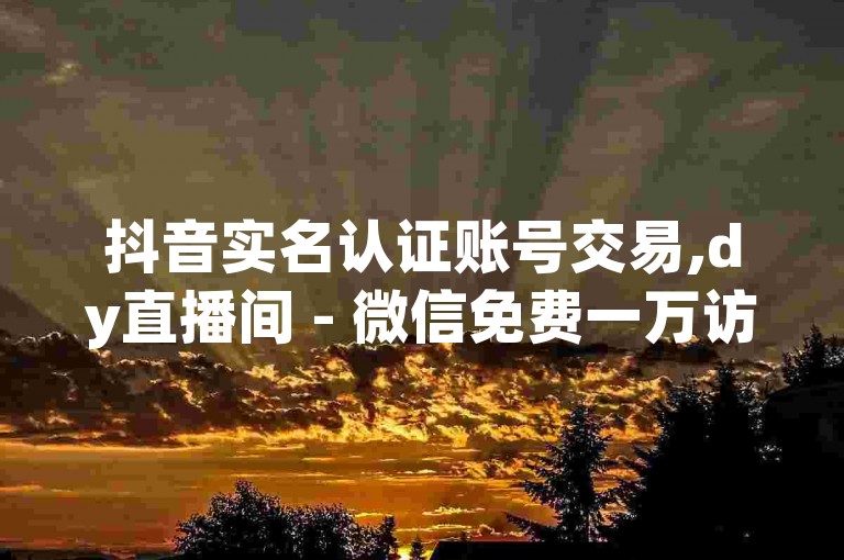 抖音实名认证账号交易,dy直播间 - 微信免费一万访客平台 - 低价微信朋友圈点赞服务网