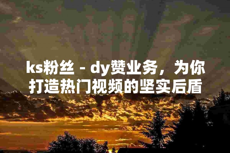 ks粉丝 - dy赞业务，为你打造热门视频的坚实后盾。