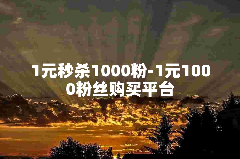 1元秒杀1000粉-1元1000粉丝购买平台