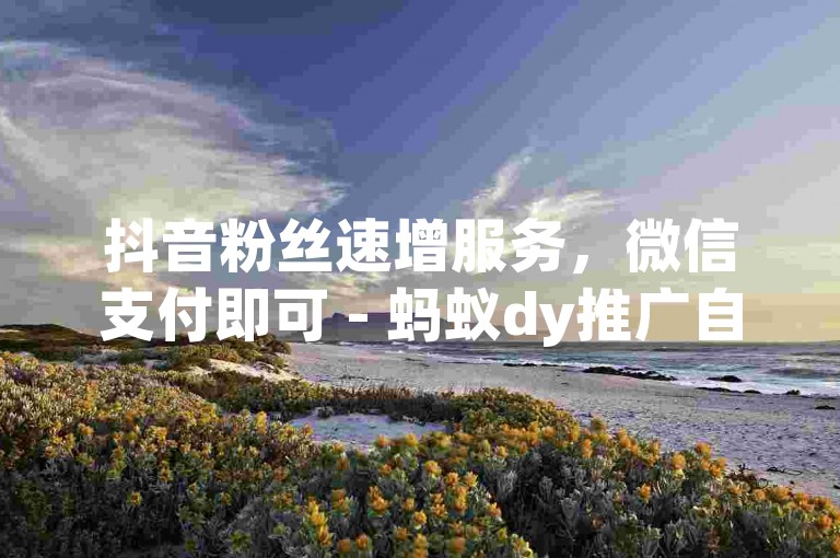 抖音粉丝速增服务，微信支付即可 - 蚂蚁dy推广自助平台即刻体验。