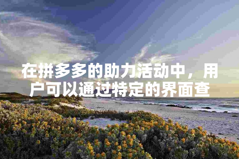 在拼多多的助力活动中，用户可以通过特定的界面查看他人的助力情况，包括那些通过多多助力刷人服务获得的额外支持。