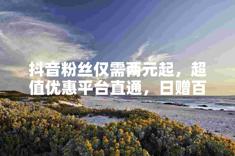 抖音粉丝仅需两元起，超值优惠平台直通，日赠百万点赞助力热度飙升。
