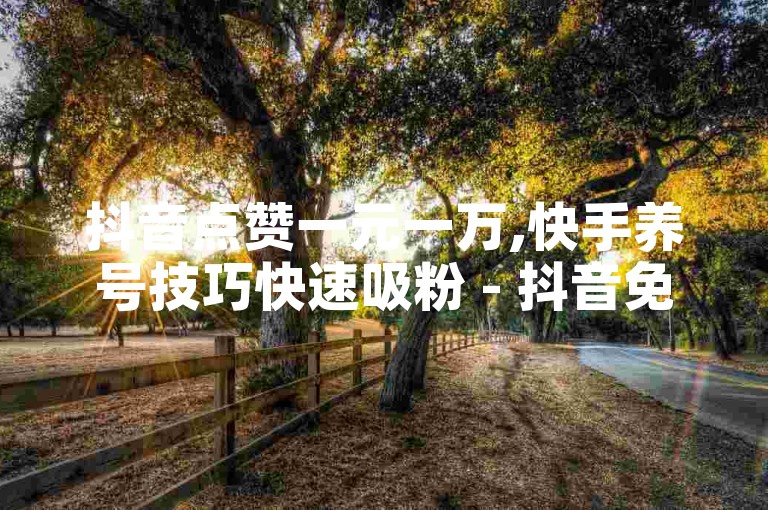 抖音点赞一元一万,快手养号技巧快速吸粉 - 抖音免费教程 - 卡密购买平台