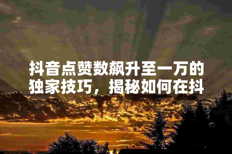 抖音点赞数飙升至一万的独家技巧，揭秘如何在抖音上迅速获得10000个赞，2024年必备攻略！