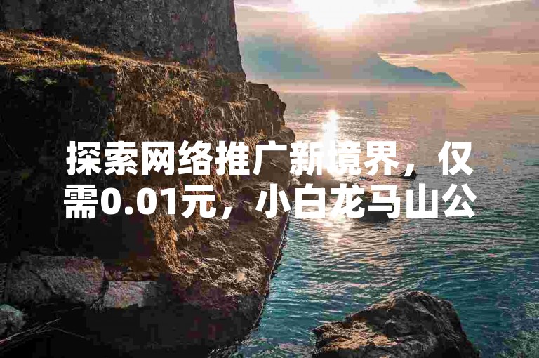 探索网络推广新境界，仅需0.01元，小白龙马山公司带你飞，QQ空间点赞轻松破十万，KS平台助力，卡盟会员特权大公开。
