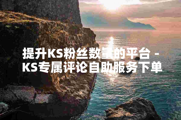 提升KS粉丝数量的平台 - KS专属评论自助服务下单