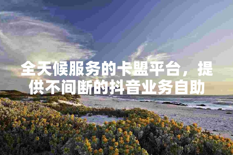 全天候服务的卡盟平台，提供不间断的抖音业务自助下单功能。