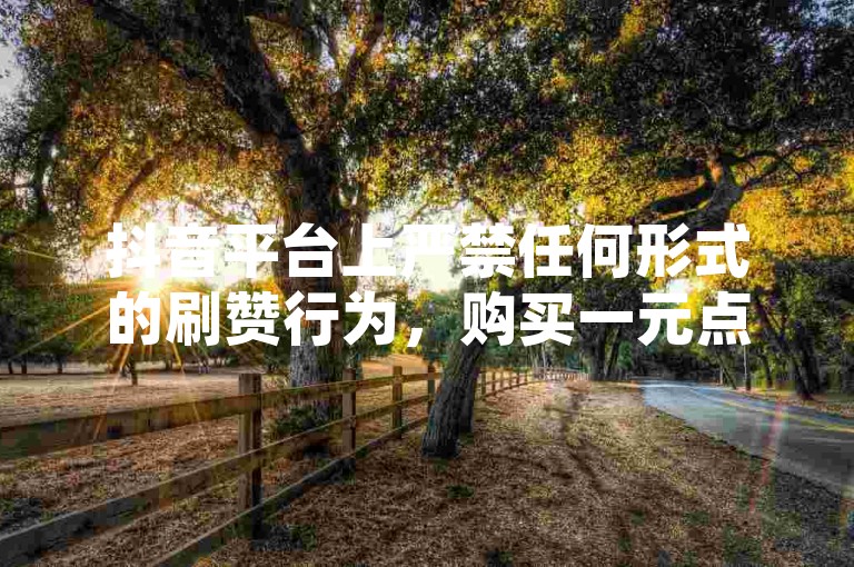 抖音平台上严禁任何形式的刷赞行为，购买一元点赞属于违规操作，可能会导致账号被封禁等后果。