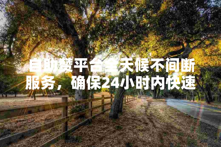 自助赞平台全天候不间断服务，确保24小时内快速发货，让新用户轻松上手！