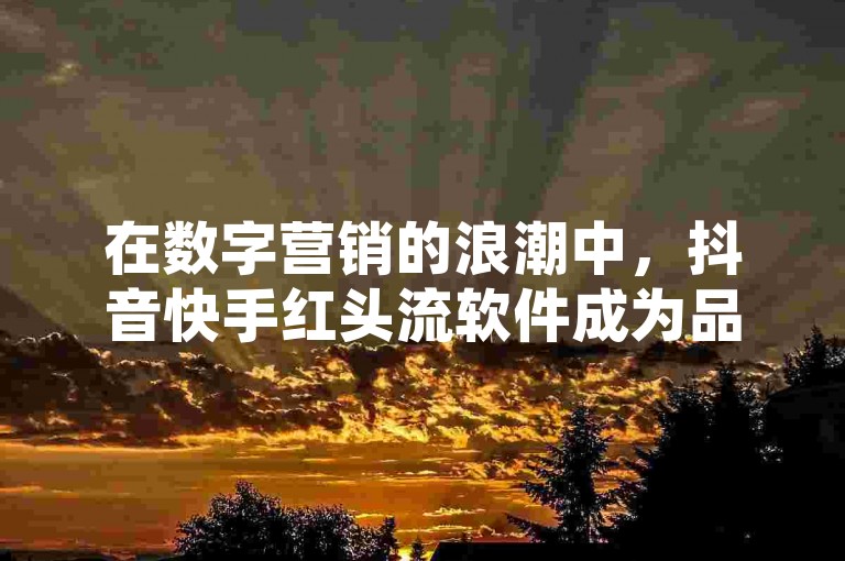 在数字营销的浪潮中，抖音快手红头流软件成为品牌推广的新宠儿。