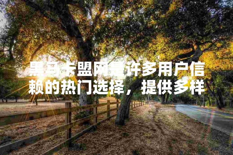 黑马卡盟网是许多用户信赖的热门选择，提供多样化的服务。