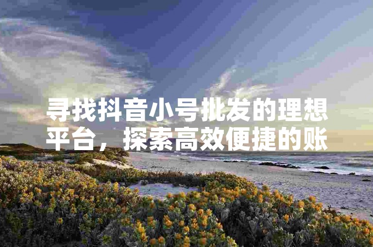 寻找抖音小号批发的理想平台，探索高效便捷的账号获取途径。