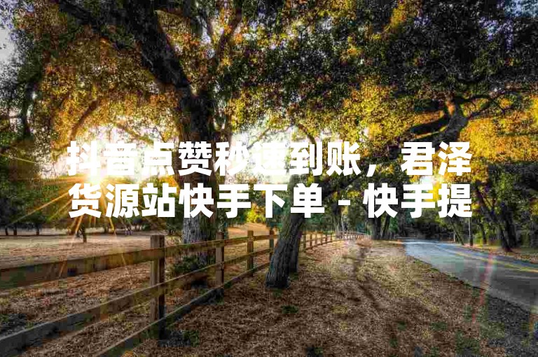 抖音点赞秒速到账，君泽货源站快手下单 - 快手提升点赞量的网站 - KS特价作品双击独家揭秘再战