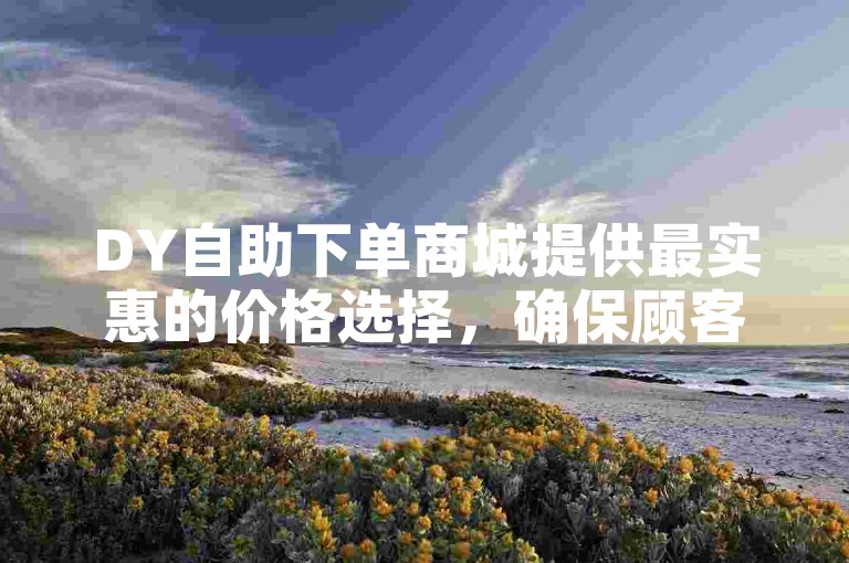 DY自助下单商城提供最实惠的价格选择，确保顾客享受超值购物体验。