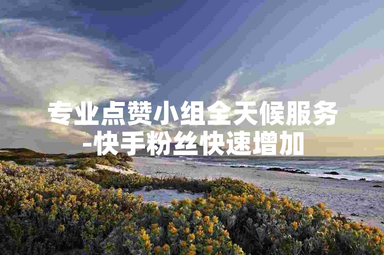 专业点赞小组全天候服务-快手粉丝快速增加