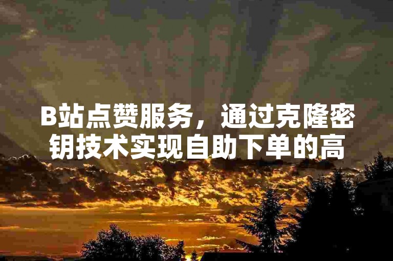 B站点赞服务，通过克隆密钥技术实现自助下单的高效业务平台。