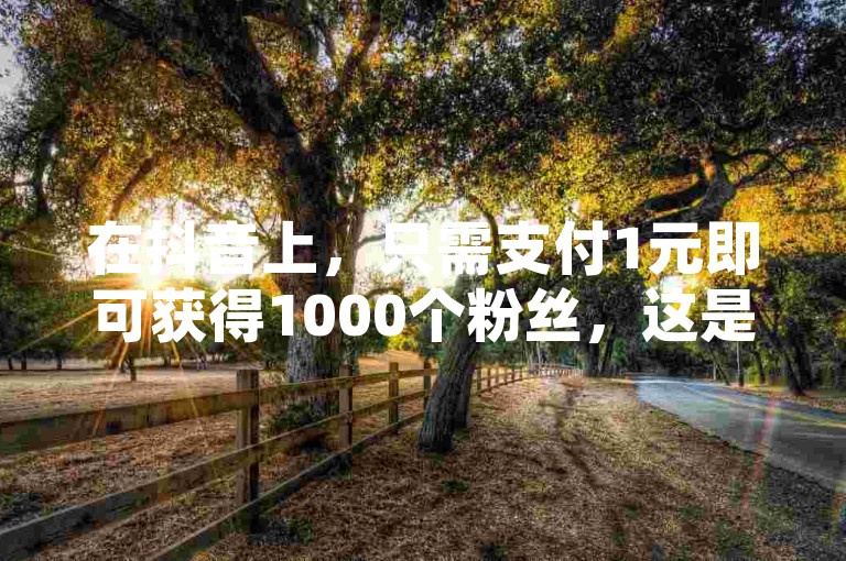 在抖音上，只需支付1元即可获得1000个粉丝，这是一项超值的优惠活动。
