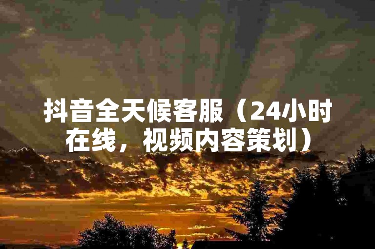 抖音全天候客服（24小时在线，视频内容策划）