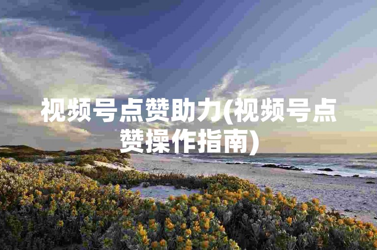 视频号点赞助力(视频号点赞操作指南)