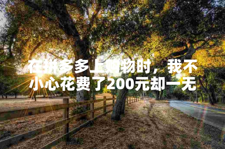 在拼多多上购物时，我不小心花费了200元却一无所获。