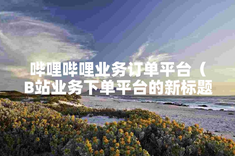 哔哩哔哩业务订单平台（B站业务下单平台的新标题可以是哔哩哔哩业务订单平台）