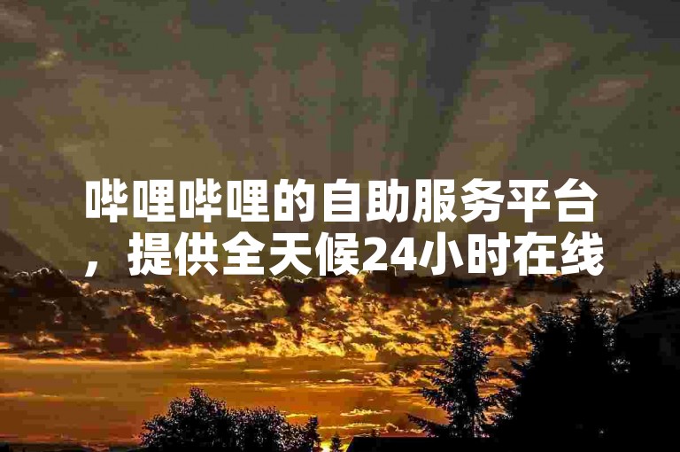 哔哩哔哩的自助服务平台，提供全天候24小时在线的人工点赞服务。
