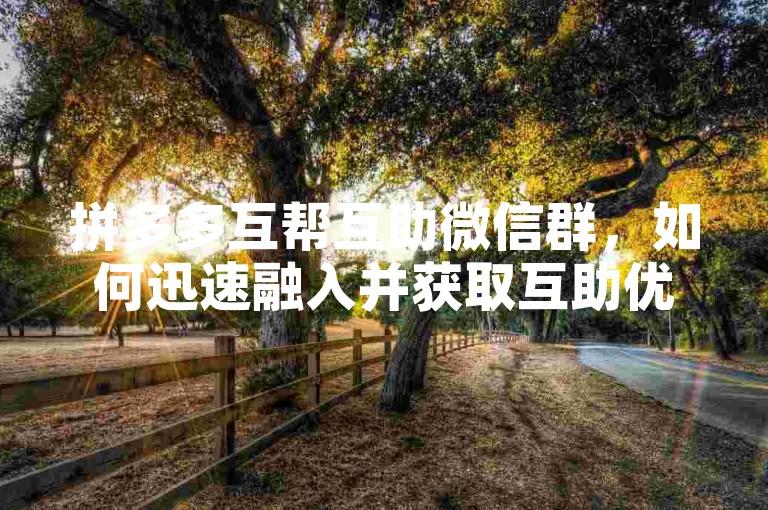 拼多多互帮互助微信群，如何迅速融入并获取互助优惠？