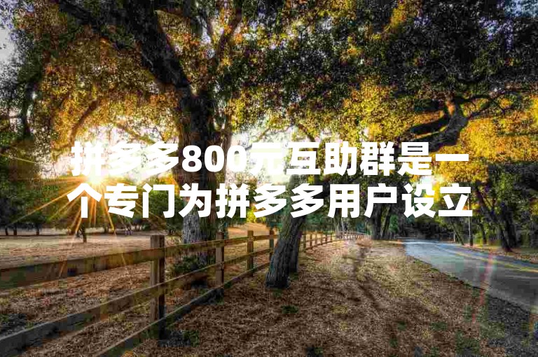 拼多多800元互助群是一个专门为拼多多用户设立的社群，旨在帮助成员们通过互相助力、分享优惠信息等方式，共同节省开支，享受购物乐趣。