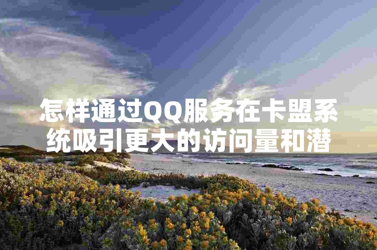 怎样通过QQ服务在卡盟系统吸引更大的访问量和潜在顾客？