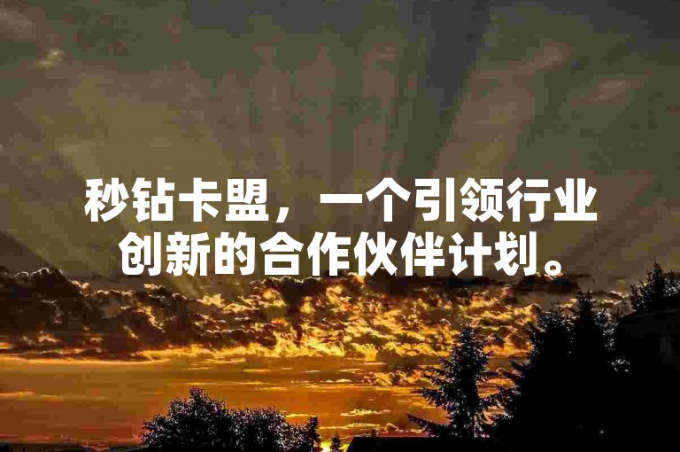 秒钻卡盟，一个引领行业创新的合作伙伴计划。